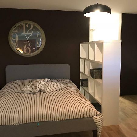 Large Studio Near Epfl And Lausanne City Center Ecublens  エクステリア 写真