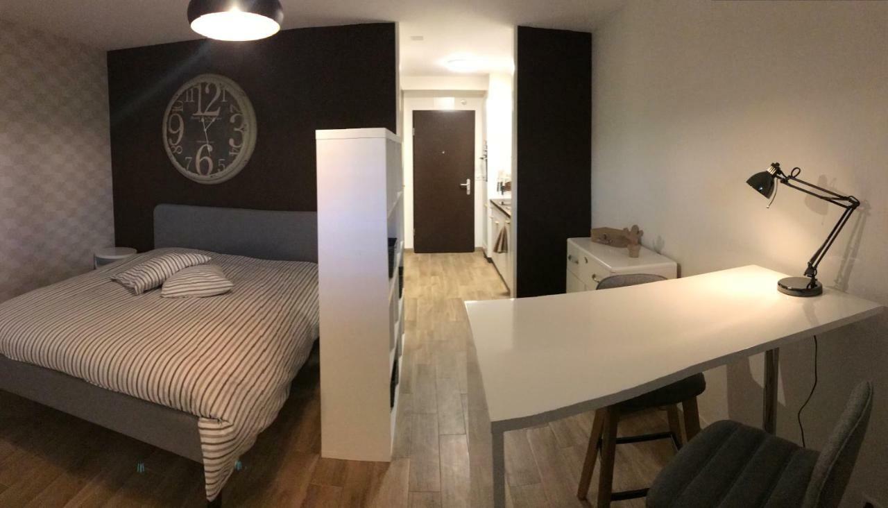 Large Studio Near Epfl And Lausanne City Center Ecublens  エクステリア 写真
