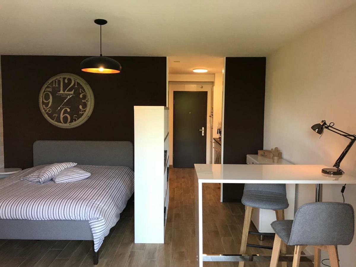 Large Studio Near Epfl And Lausanne City Center Ecublens  エクステリア 写真