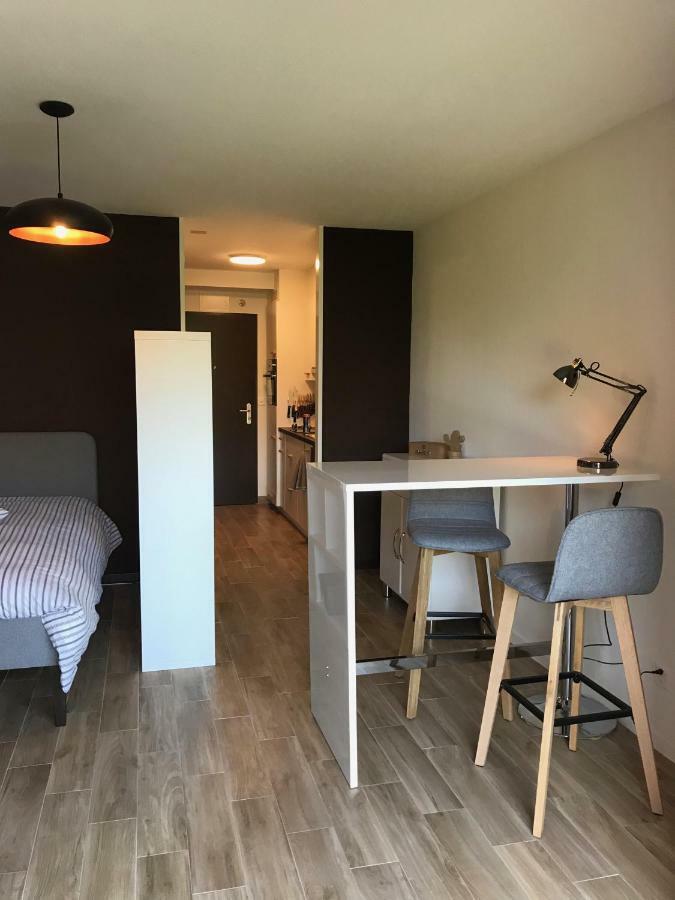 Large Studio Near Epfl And Lausanne City Center Ecublens  エクステリア 写真
