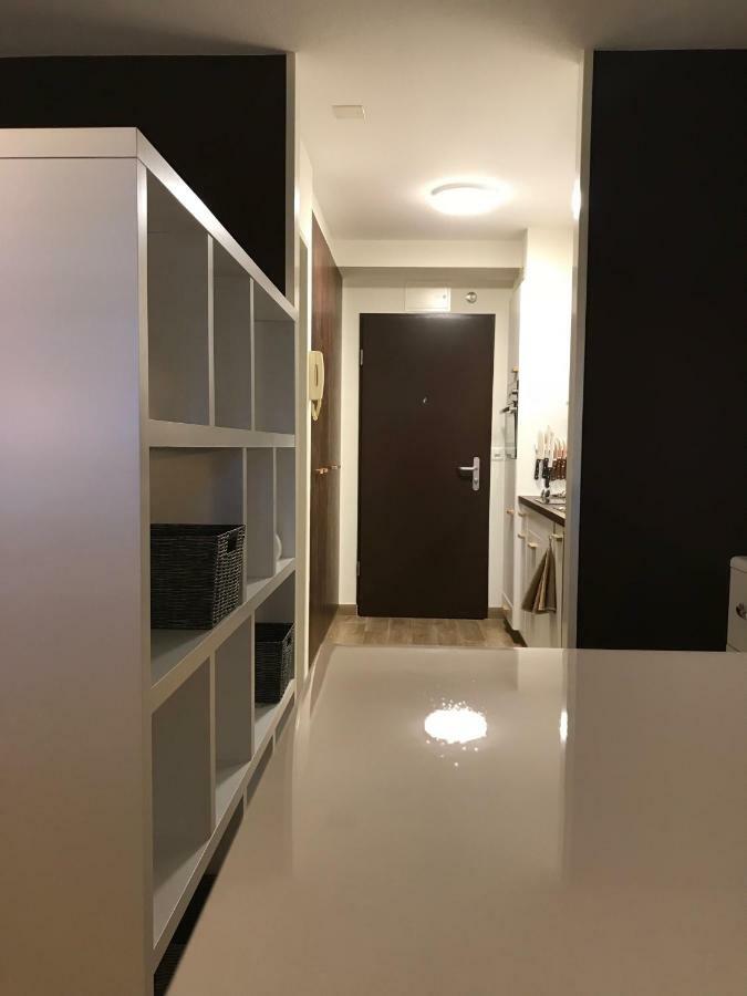 Large Studio Near Epfl And Lausanne City Center Ecublens  エクステリア 写真